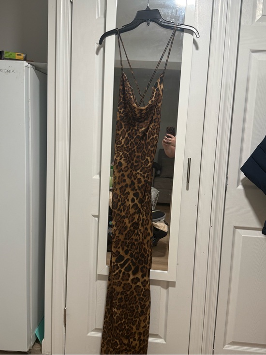 Fashion Nova Dresses & Skirts - Fashion Nova Brown Leopard Print Sheer Maxi Dress